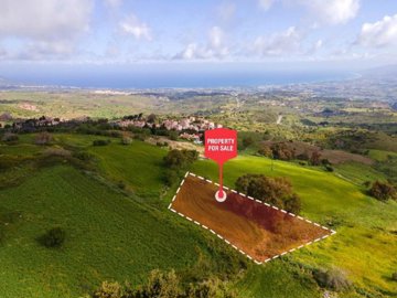 Field - Drouseia, Paphos