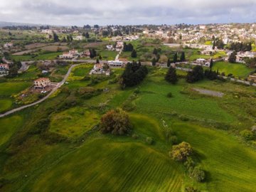 Field - Drouseia, Paphos