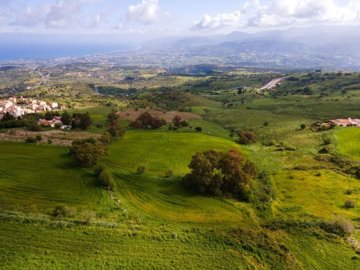 Field - Drouseia, Paphos