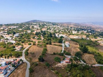 Field - Drouseia, Paphos