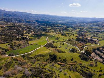 Field - Polemi, Paphos