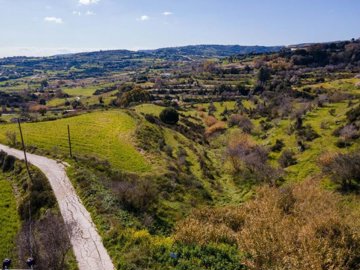 Field - Polemi, Paphos