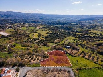 Field - Polemi, Paphos