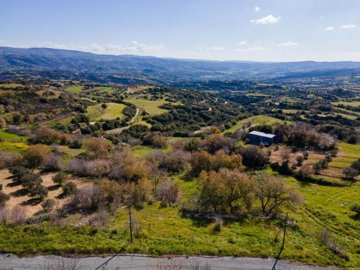 Field - Polemi, Paphos