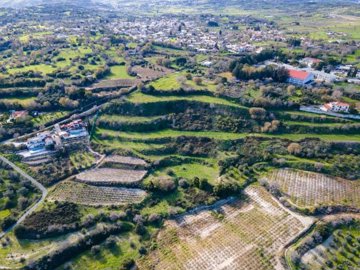 Field - Polemi, Paphos