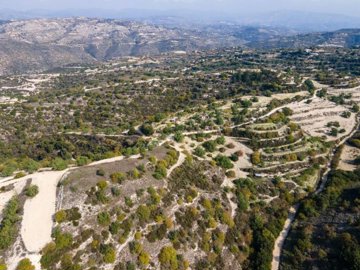 Field - Koili, Paphos