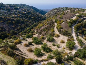 Field - Koili, Paphos