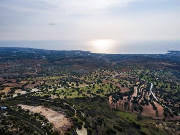 Field - Koili, Paphos