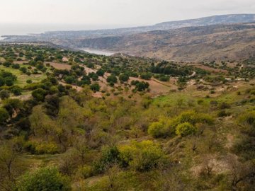 Field - Koili, Paphos