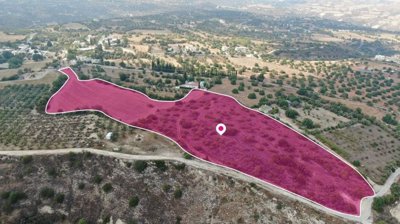 Field in Pano Akourdaleia, Paphos