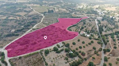 Field in Pano Akourdaleia, Paphos