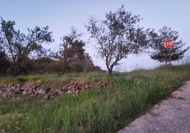 Agricultural Land For Sale  in  Lysos