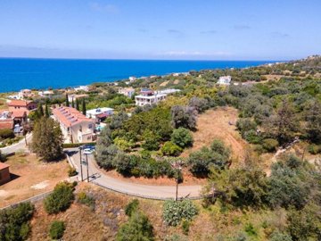 Field - Nea Dimmata, Paphos