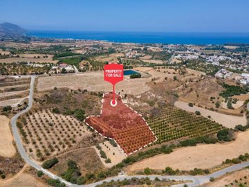 Field - Polis Chrysochous, Paphos