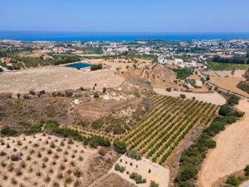 Field - Polis Chrysochous, Paphos