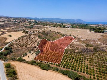 Field - Polis Chrysochous, Paphos