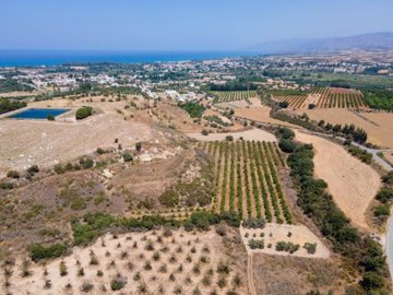 Field - Polis Chrysochous, Paphos