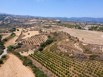 Field - Polis Chrysochous, Paphos