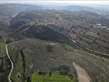 Field - Tsada, Paphos