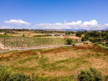 Field - Polemi, Paphos