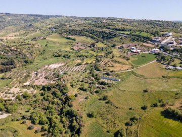 Field - Simou, Paphos