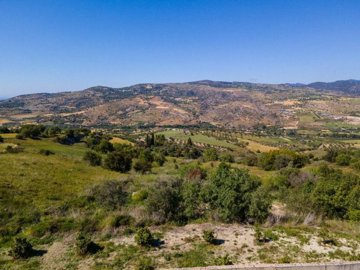 Field - Simou, Paphos