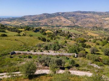 Field - Simou, Paphos