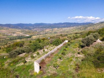 Field - Simou, Paphos