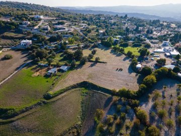 Field - Simou, Paphos