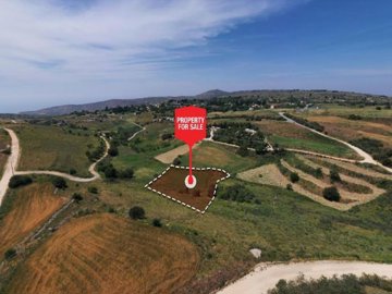 Field - Pano Arodes, Paphos