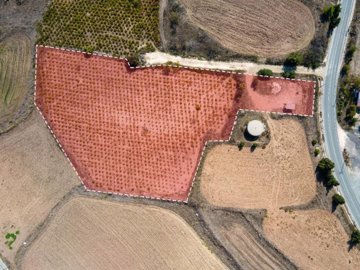 Field - Pano Arodes, Paphos