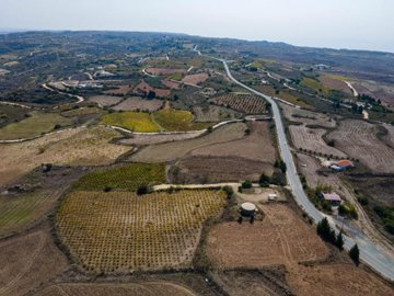 Field - Pano Arodes, Paphos