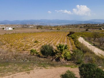 Field - Pano Arodes, Paphos