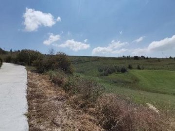 Field – Pano Arodes, Paphos