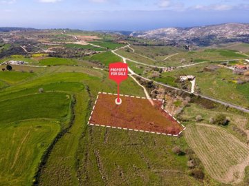 Field - Pano Arodes, Paphos