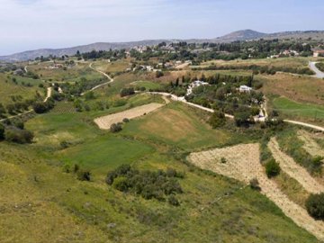 Field - Pano Arodes, Paphos