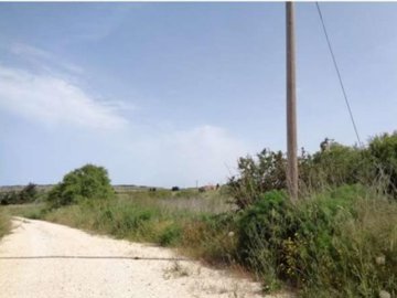 Field - Pano Arodes, Paphos