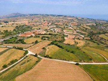 Field - Kato Arodes, Paphos