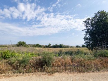 Field - Kato Arodes, Paphos