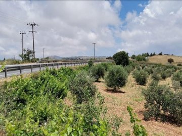 Field - Pano Arodes, Paphos