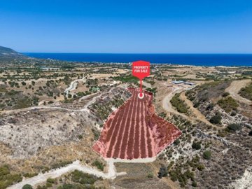 Field, Prodromi - Paphos