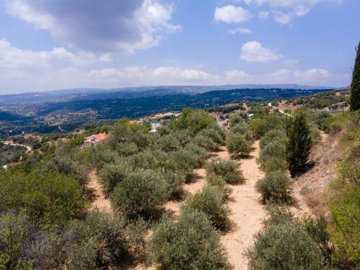 Field - Psathi, Paphos