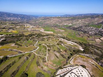 Field - Polemi, Paphos