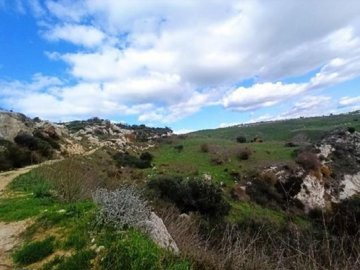 Field - Milia, Paphos