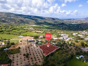 Field - Giolou, Paphos