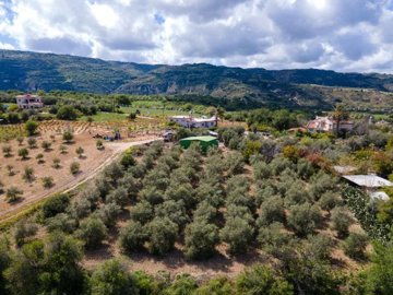 Field - Giolou, Paphos