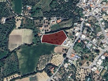 Field - Giolou, Paphos