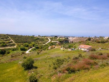 Field - Kathikas, Paphos