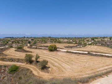 Field - Pano Arodes, Paphos