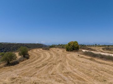 Field - Pano Arodes, Paphos